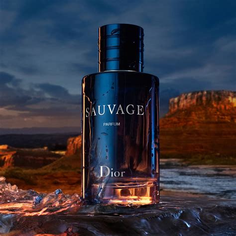 aroma sauvage dior|Dior Sauvage cheapest price 100ml.